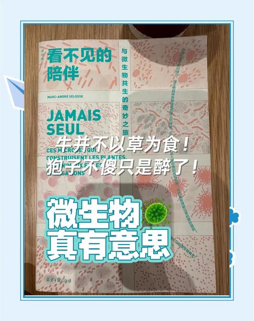 产品中心 第22页